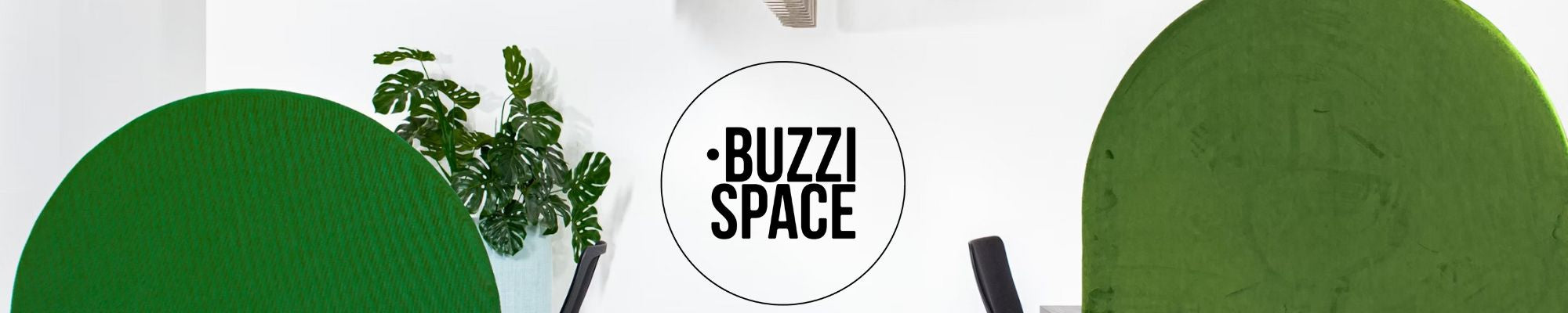 Buzzi Space