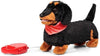 Animigos - Scampering Sausage Dog-Animigos, Baby Soft Toys, Comfort Toys, Games & Toys, Gifts For 3-5 Years Old, Gifts for 5-7 Years Old, Stock, Switches & Switch Adapted Toys, Tobar Toys-Learning SPACE