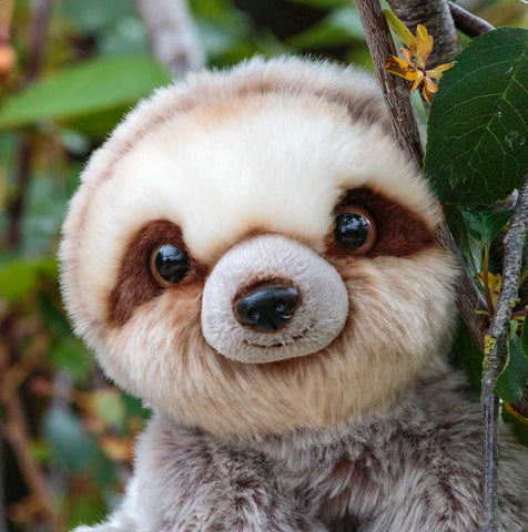 Animigos - Sloth - World of Nature-Animals, Animigos, Baby & Toddler Gifts, Baby Soft Toys, Baby Toys, Comfort Toys, Gifts for 0-3 Months-Learning SPACE