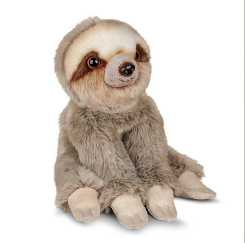 Animigos - Sloth - World of Nature-Animals, Animigos, Baby & Toddler Gifts, Baby Soft Toys, Baby Toys, Comfort Toys, Gifts for 0-3 Months-Learning SPACE