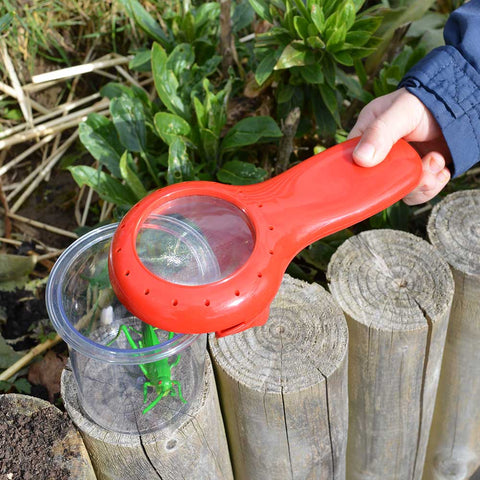 Bug And Plant Taster Pack-Classroom Packs, Early Science, EDUK8, Forest School & Outdoor Garden Equipment, Garden Game, Nature, Outdoor Play, Science Activities-Learning SPACE