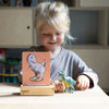 Dinosaur Flashcards-Dinosaurs. Castles & Pirates, Happy Little Doers, Imaginative Play-Learning SPACE