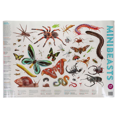 Help With Homework Pkt.3 Wallcharts - 9+ Nature-Back To School, homework, Nature, Nature Learning Environment, Nature Sensory Room, Primary Books & Posters, World & Nature-Learning SPACE