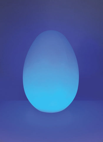 Interactive Mood Egg For Connect Pro Range-AllSensory, Connect Pro, Sensory Light Up Toys, Sensory Room Lighting-Learning SPACE