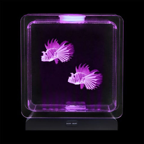 Lumina Tropical Fish Tank - Lightup-AllSensory, Lumina, Sensory Light Up Toys, Stock-Learning SPACE