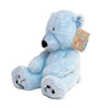 Sad Bear - Mood Bear-Additional Need, Comfort Toys, Eco Friendly, Emotions & Self Esteem, Helps With, Mood Bear, PSHE, Social Emotional Learning-Learning SPACE