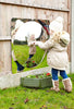 Sensory Mirror - Giant Single Dome - 780mm-AllSensory, Early Years Sensory Play, Outdoor Mirrors, Sensory Garden, Sensory Mirrors, Stock, TickiT-Learning SPACE